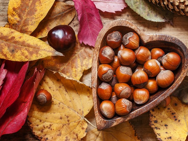 Orechy – skvelá potravina proti stresu